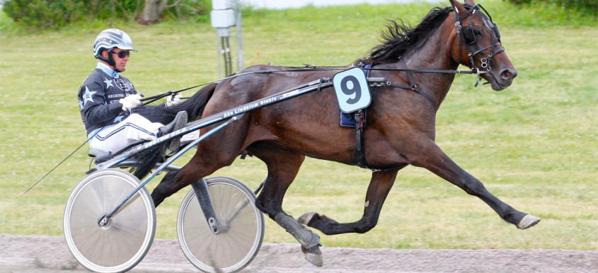 Elitloppet 2019